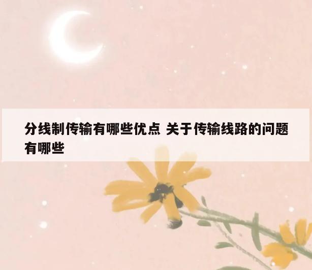 分线制传输有哪些优点 关于传输线路的问题有哪些