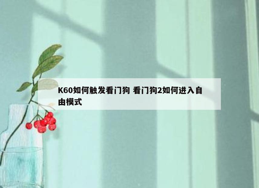 K60如何触发看门狗 看门狗2如何进入自由模式
