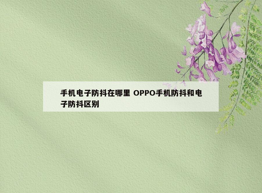 手机电子防抖在哪里 OPPO手机防抖和电子防抖区别