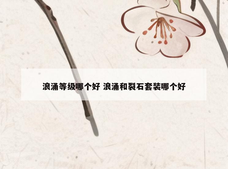 浪涌等级哪个好 浪涌和裂石套装哪个好