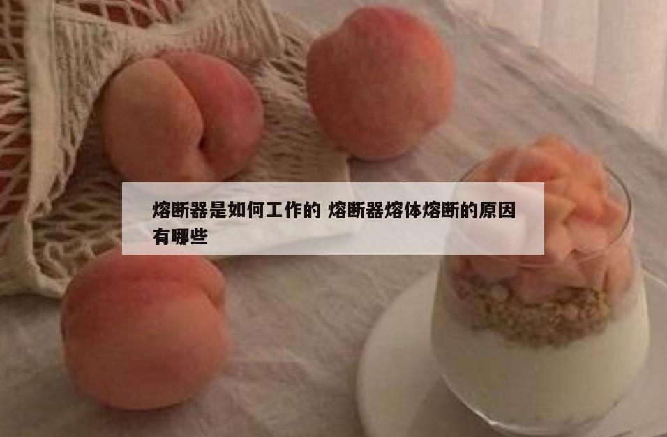 熔断器是如何工作的 熔断器熔体熔断的原因有哪些