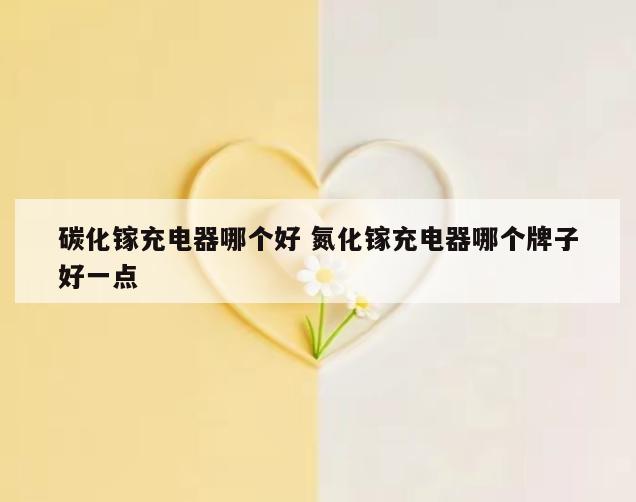 碳化镓充电器哪个好 氮化镓充电器哪个牌子好一点