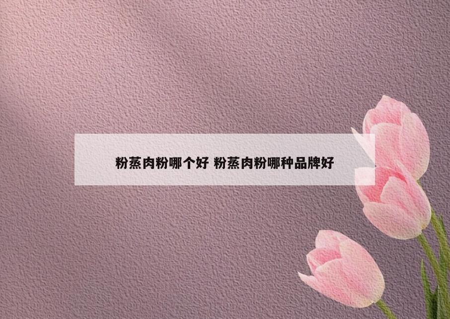 粉蒸肉粉哪个好 粉蒸肉粉哪种品牌好