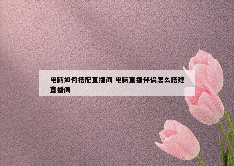 电脑如何搭配直播间 电脑直播伴侣怎么搭建直播间