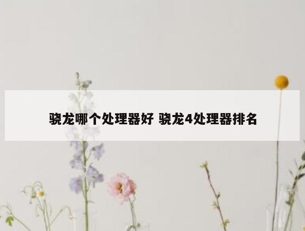 骁龙哪个处理器好 骁龙4处理器排名