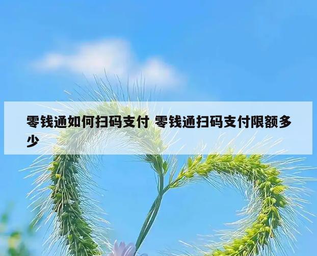 零钱通如何扫码支付 零钱通扫码支付限额多少