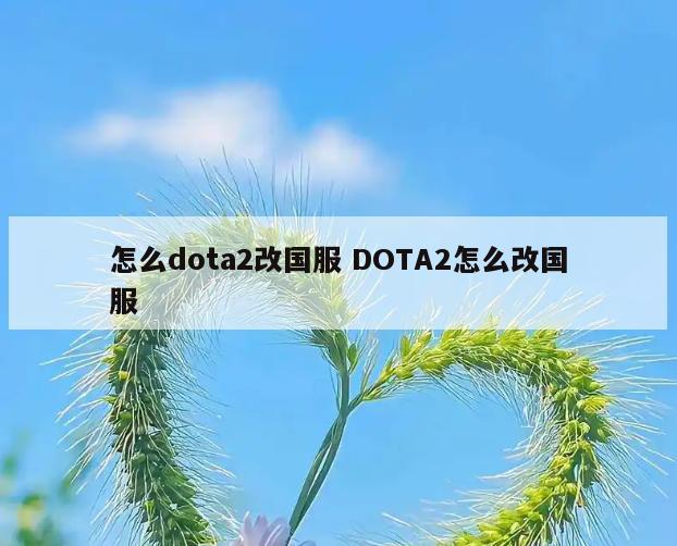 怎么dota2改国服 DOTA2怎么改国服
