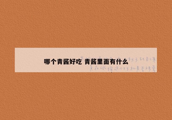哪个青酱好吃 青酱里面有什么