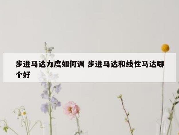 步进马达力度如何调 步进马达和线性马达哪个好