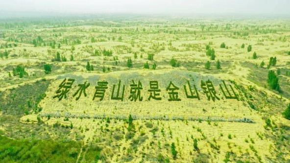 对抗沙尘暴，人定胜天！历时40年，中国三北防护林终于建成