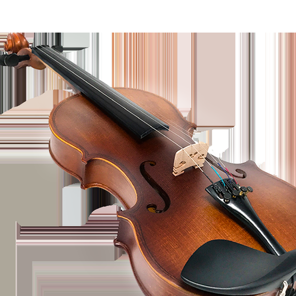 塞尔夫(SCHAAF)4/4小提琴SVA-900成人初学考级演奏