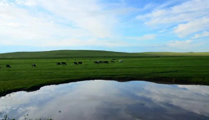 2023年内蒙古3月份去大草原有草吗,内蒙古几月份开始长草