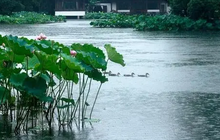 2023年苏州什么时候入梅,苏州梅雨季节持续多久