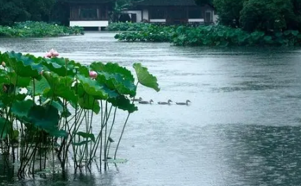 2023年浙江几月份是梅雨季节,梅雨季节如何防霉除湿