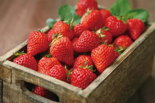 草莓放冰箱还是常温保存,草莓保鲜及储存方法