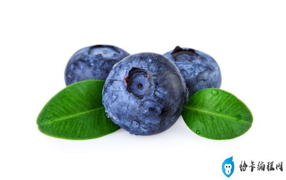 蓝莓放冷冻保存营养价值会流失吗(蓝莓放冰箱冷冻会破坏营养吗)