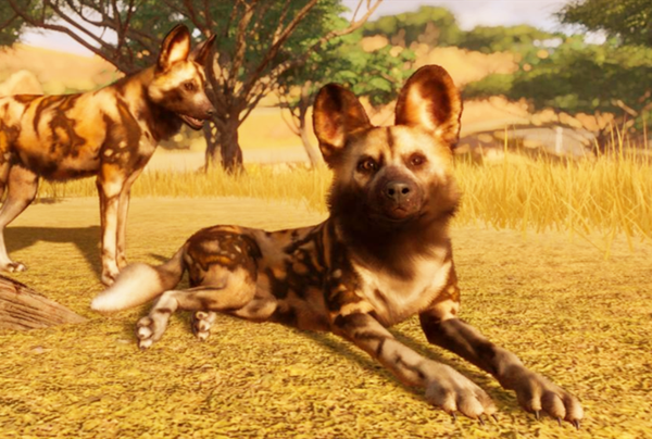 动物家园建造游戏推荐，模拟佳作《动物园之星》特色介绍