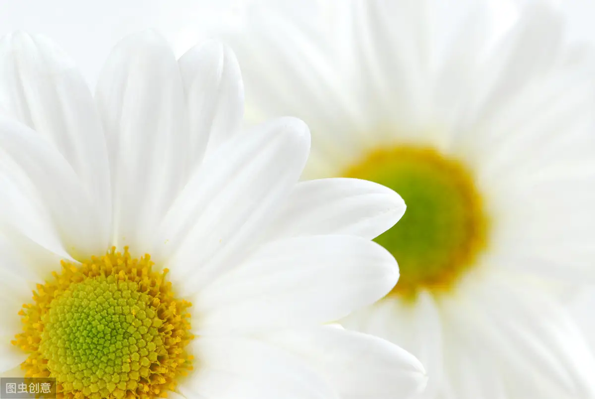 无为而治是什么意思,怎样理解无为而治,孩子,婆媳,方法论