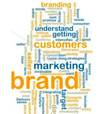 一套完整的品牌营销方案策划和方法,附：成功案例,品牌,产品,消费者
