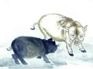 五光十色指什么生肖,五光十色最佳正确答案,生肖,正确答案,恋爱