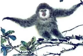 五光十色指什么生肖,五光十色最佳正确答案,生肖,正确答案,恋爱