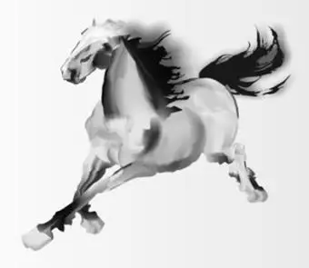 五光十色指什么生肖,五光十色最佳正确答案,生肖,正确答案,恋爱