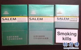 SALEM「最新沙龙」价格表图,日本沙龙香烟价格排行榜「最新7种」