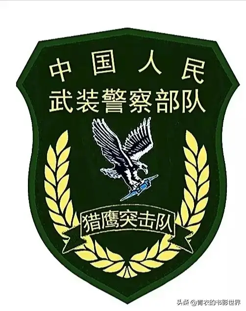 武警特警电视剧全集,武装特警神秘722,特警,武警,电视剧