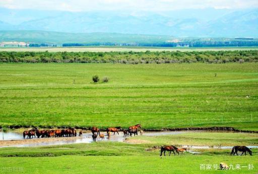 伊犁地区九大草原是哪些,你好生活新疆伊犁哪个草原