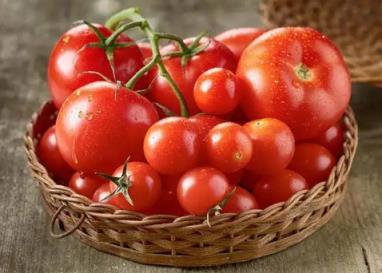 爱吃西红柿是缺什么营养,爱吃西红柿是缺锌吗
