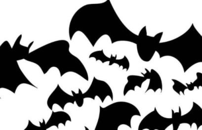 四川绵竹上空疑现大量蝙蝠群,地震前期的有什么预兆