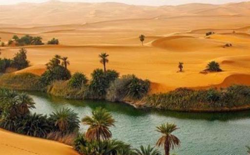 撒哈拉沙漠的面积约为906万,撒哈拉沙漠面积大约960万平方千米