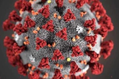 世卫组织称新冠疫情结束在望,世卫组织全球疫情最新报告