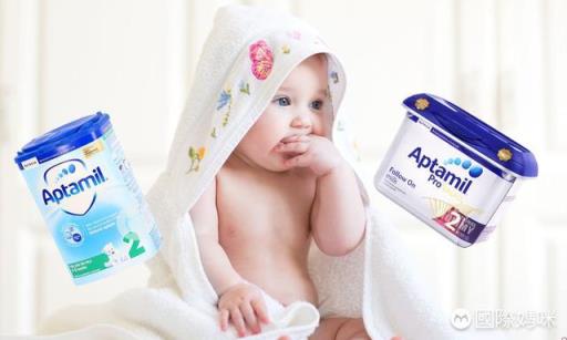 进口婴儿奶粉哪个牌子好喝,进口婴儿奶粉哪个牌子好适合中国宝宝