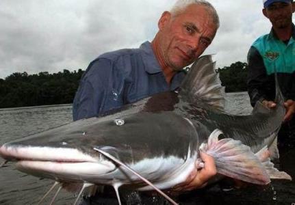 世界上最厉害的淡水鱼排行榜,世界十大最凶猛淡水鱼排名