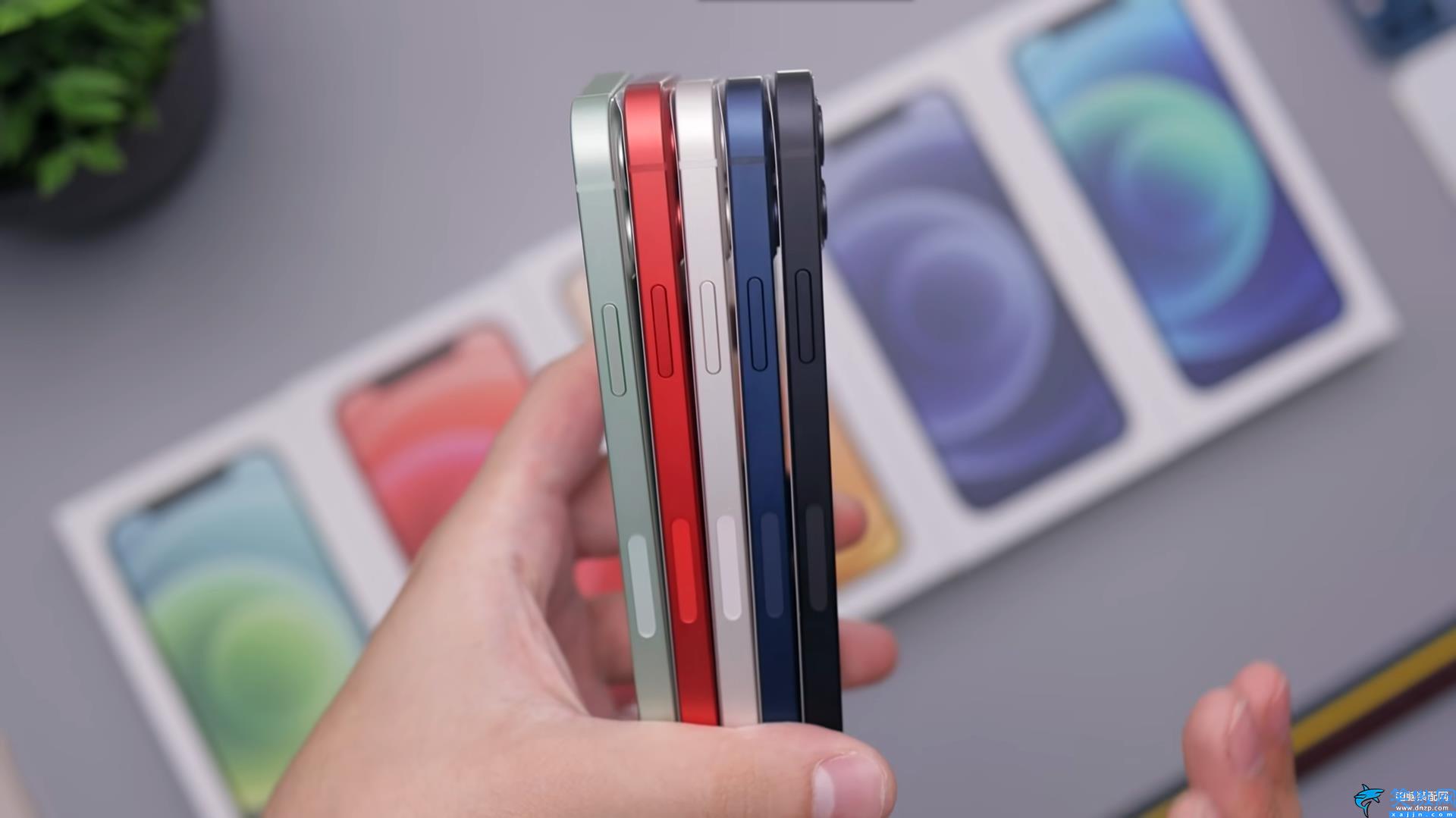iphone12颜色选哪个色,5款颜色苹果12对比