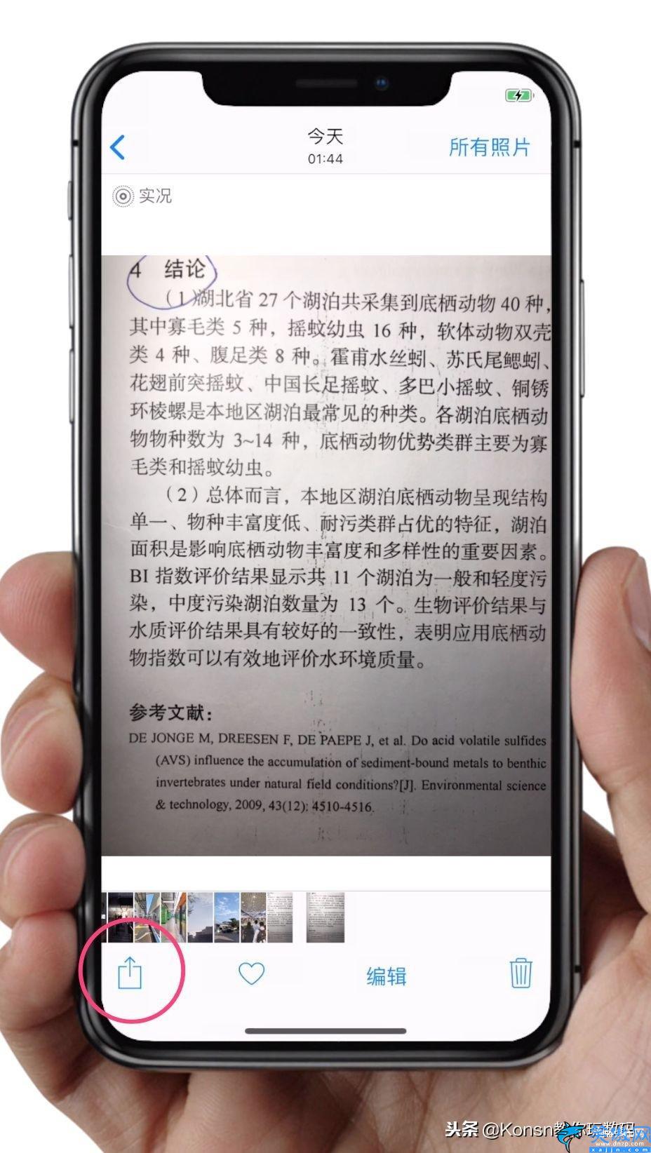 苹果13新功能怎么从照片提取文字,iPhone手机图片提取文字的方法