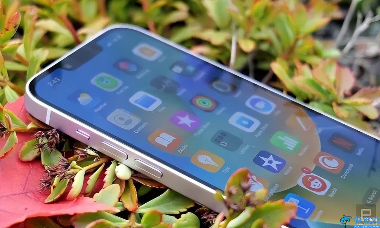 苹果手机有5g网络吗,5G iPhone 全面解禁