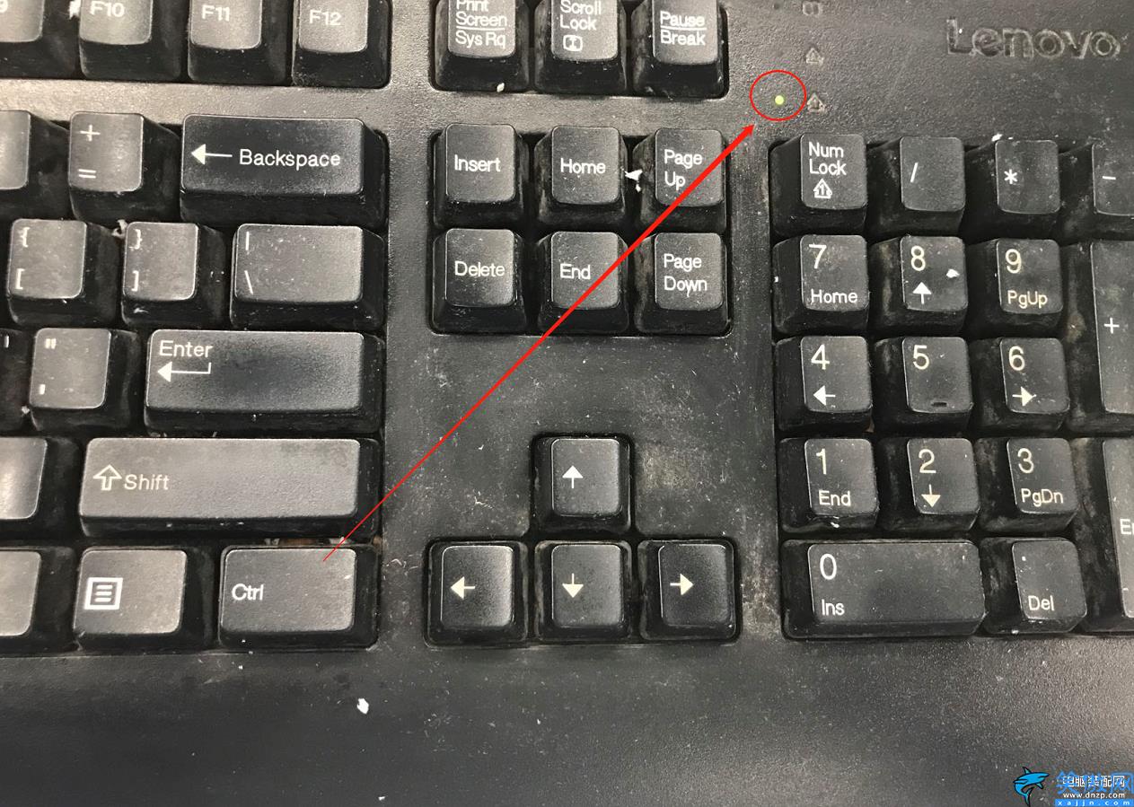 电脑打不出字按哪个键恢复,电脑键盘数字键盘无法使用解决方法