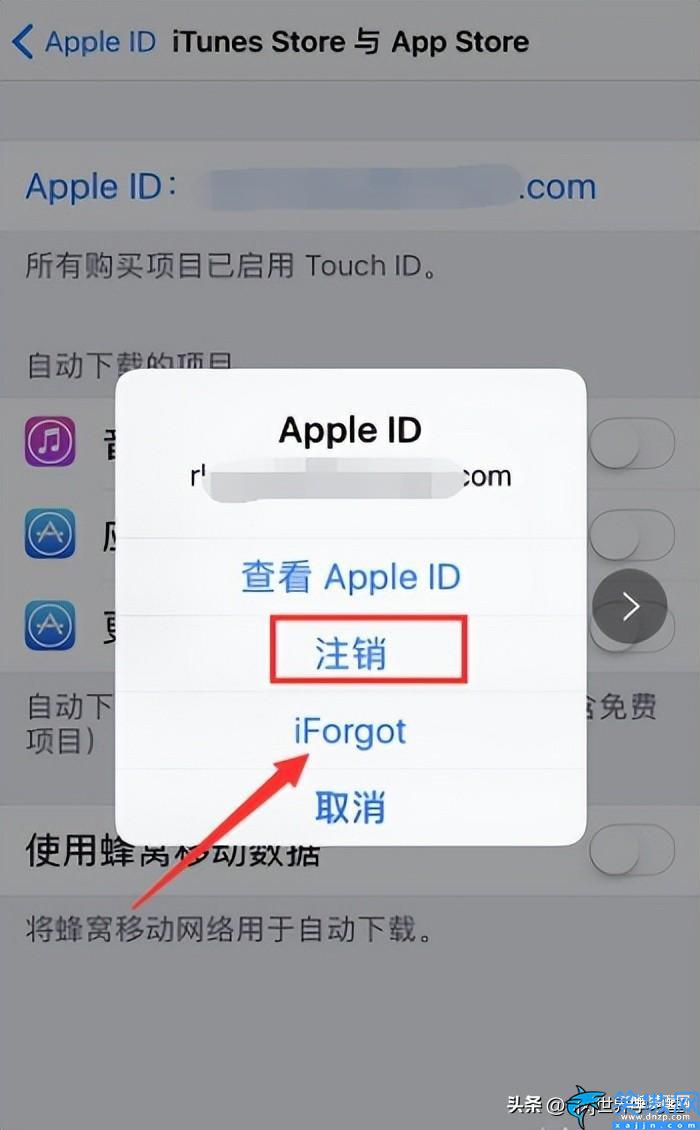 苹果账号怎么注销id,注销苹果id账号详细方法