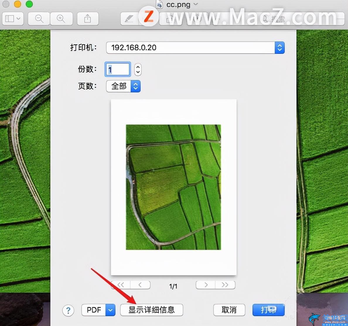 苹果电脑怎么打印图片步骤,在MacBook上打印图片教程