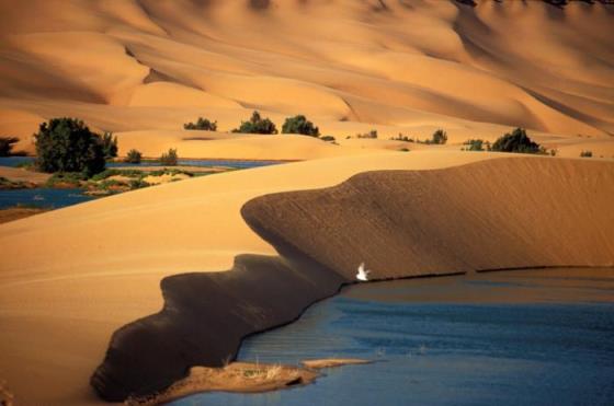 撒哈拉沙漠在哪里,撒哈拉沙漠属于哪里