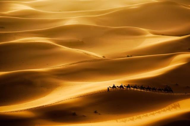 撒哈拉沙漠在哪里,撒哈拉沙漠属于哪里