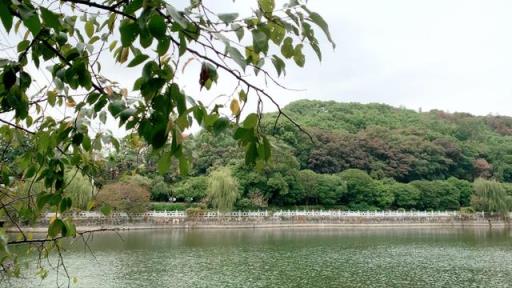 吴芮家族沉睡沉睡千年的地方,长沙汉王陵公园是谁的陵墓