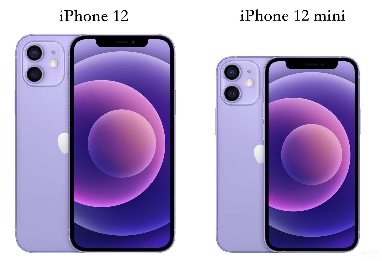 苹果12和12mini哪个值得购置,两款iPhone12的区别详解