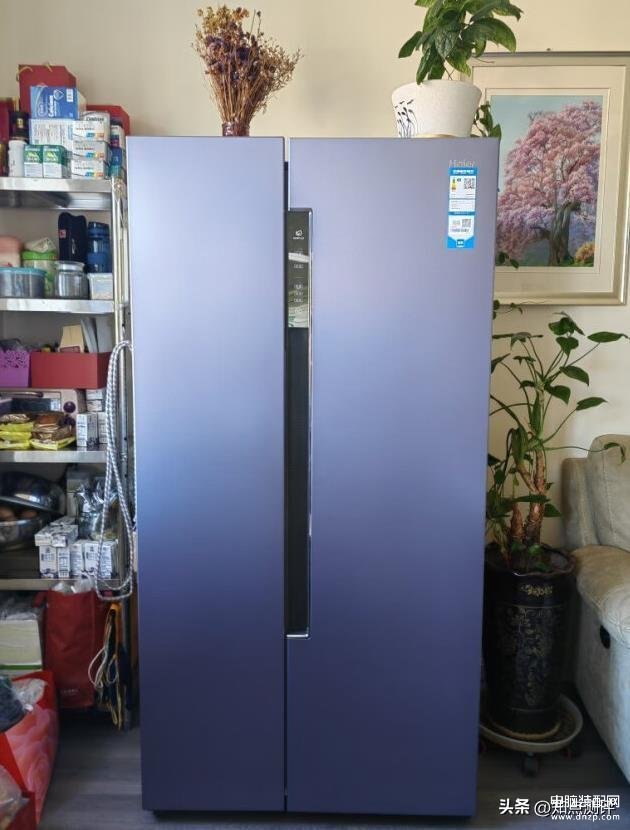 海尔冰箱哪款性价比高,海尔冰箱选购技巧