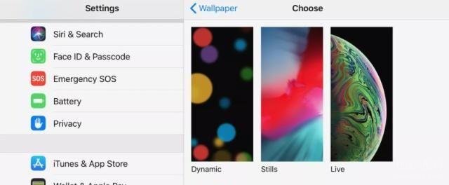 苹果手机设置动态壁纸怎么设置,在iPhone上设置和使用动态壁纸教程
