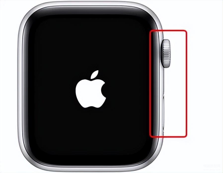 iwatch白苹果解决办法,苹果手表不能开机解决方法